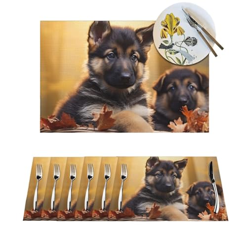 Platzsets mit kleinem Schäferhund, rutschfest, hitzebeständig, gewebt, für Küche, Tischdekoration, Innen- und Außenbereich, waschbar, Esstischmatten für Dinnerparty Platzsets mit kleinem Schäferhund, rutschfest, hitzebeständig, gewebt, für Küche, Tischdekoration, Innen- und Außenbereich, waschbar, Esstischmatten für Dinnerparty von FHEBNDS