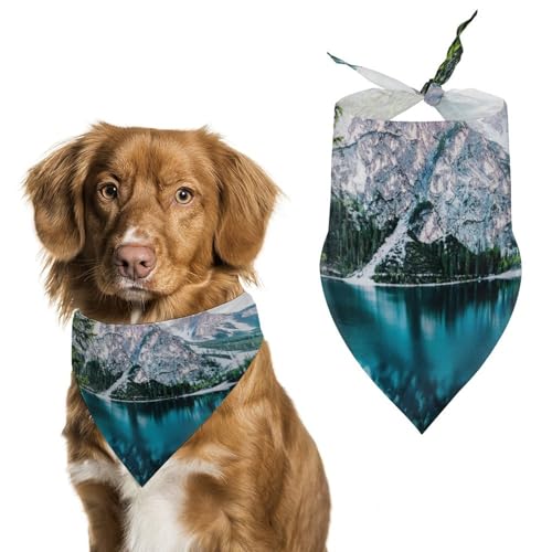 Hochwertiges Polyester-Halstuch für Hunde und Katzen, stilvolles Dreieckstuch, weich und atmungsaktiv, lichtbeständig, perfekt für den täglichen Gebrauch, Partys, Hochzeiten, Reisen und Fotoshootings Hochwertiges Polyester-Halstuch für Hunde und Katzen, stilvolles Dreieckstuch, weich und atmungsaktiv, lichtbeständig, perfekt für den täglichen Gebrauch, Partys, Hochzeiten, Reisen und Fotoshootings von FHEDMN