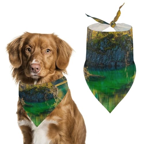 Hochwertiges Polyester-Halstuch für Hunde und Katzen, stilvolles Dreieckstuch, weich und atmungsaktiv, lichtbeständig, perfekt für den täglichen Gebrauch, Partys, Hochzeiten, Reisen und Fotoshootings Hochwertiges Polyester-Halstuch für Hunde und Katzen, stilvolles Dreieckstuch, weich und atmungsaktiv, lichtbeständig, perfekt für den täglichen Gebrauch, Partys, Hochzeiten, Reisen und Fotoshootings von FHEDMN