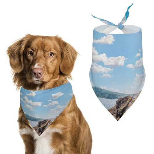 Hochwertiges Polyester-Halstuch für Hunde und Katzen, stilvolles Dreieckstuch, weich und atmungsaktiv, lichtbeständig, perfekt für den täglichen Gebrauch, Partys, Hochzeiten, Reisen und Fotoshootings von FHEDMN