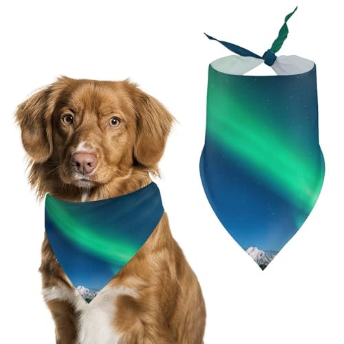 Hochwertiges Polyester-Halstuch für Hunde und Katzen, stilvolles Dreieckstuch, weich und atmungsaktiv, lichtbeständig, perfekt für den täglichen Gebrauch, Partys, Hochzeiten, Reisen und Fotoshootings von FHEDMN
