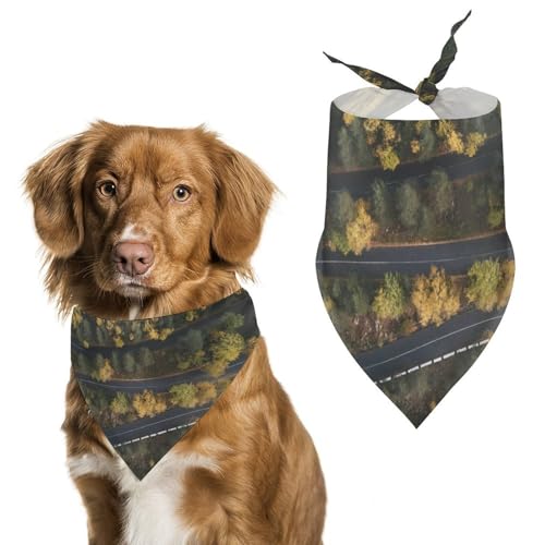 Hochwertiges Polyester-Halstuch für Hunde und Katzen, stilvolles Dreieckstuch, weich und atmungsaktiv, lichtbeständig, perfekt für den täglichen Gebrauch, Partys, Hochzeiten, Reisen und Fotoshootings Hochwertiges Polyester-Halstuch für Hunde und Katzen, stilvolles Dreieckstuch, weich und atmungsaktiv, lichtbeständig, perfekt für den täglichen Gebrauch, Partys, Hochzeiten, Reisen und Fotoshootings von FHEDMN