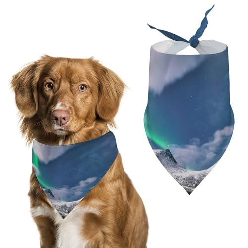 Hochwertiges Polyester-Halstuch für Hunde und Katzen, stilvolles Dreieckstuch, weich und atmungsaktiv, lichtbeständig, perfekt für den täglichen Gebrauch, Partys, Hochzeiten, Reisen und Fotoshootings von FHEDMN