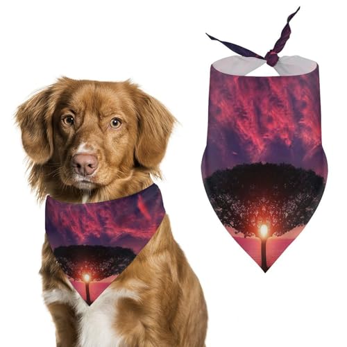 Hochwertiges Polyester-Halstuch für Hunde und Katzen, stilvolles Dreieckstuch, weich und atmungsaktiv, lichtbeständig, perfekt für den täglichen Gebrauch, Partys, Hochzeiten, Reisen und Fotoshootings Hochwertiges Polyester-Halstuch für Hunde und Katzen, stilvolles Dreieckstuch, weich und atmungsaktiv, lichtbeständig, perfekt für den täglichen Gebrauch, Partys, Hochzeiten, Reisen und Fotoshootings von FHEDMN