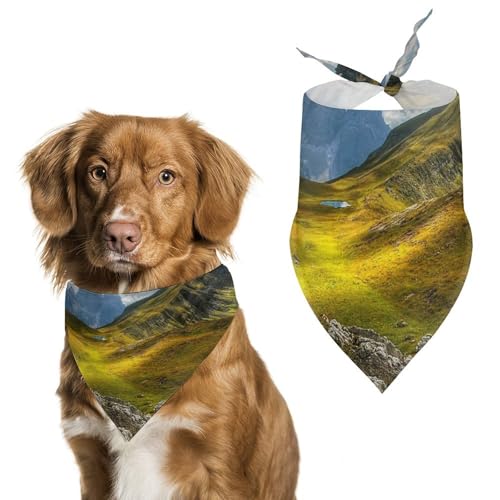 Hochwertiges Polyester-Halstuch für Hunde und Katzen, stilvolles Dreieckstuch, weich und atmungsaktiv, lichtbeständig, perfekt für den täglichen Gebrauch, Partys, Hochzeiten, Reisen und Fotoshootings Hochwertiges Polyester-Halstuch für Hunde und Katzen, stilvolles Dreieckstuch, weich und atmungsaktiv, lichtbeständig, perfekt für den täglichen Gebrauch, Partys, Hochzeiten, Reisen und Fotoshootings von FHEDMN
