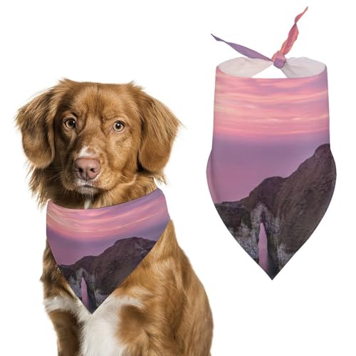 Hochwertiges Polyester-Halstuch für Hunde und Katzen, stilvolles Dreieckstuch, weich und atmungsaktiv, lichtbeständig, perfekt für den täglichen Gebrauch, Partys, Hochzeiten, Reisen und Fotoshootings Hochwertiges Polyester-Halstuch für Hunde und Katzen, stilvolles Dreieckstuch, weich und atmungsaktiv, lichtbeständig, perfekt für den täglichen Gebrauch, Partys, Hochzeiten, Reisen und Fotoshootings von FHEDMN