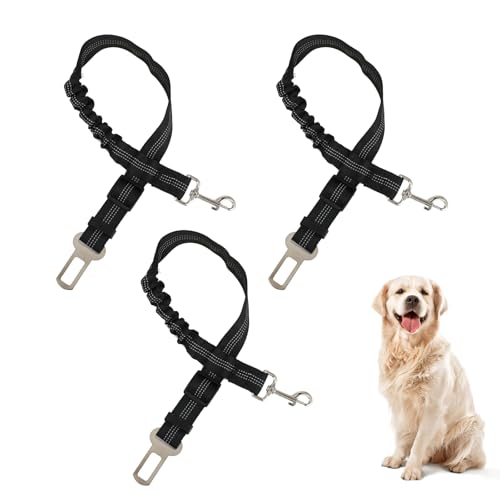 FHISKUNYU 3 Stück Hundegurt fürs Auto, Länge Verstellbarer Hund Anschnallgurt, Mit Elastischer Ruckdämpfung und Starke Karabiner Sicherheitsgurt, Hundesicherheitsgeschirr für alle Hunde und Katzen FHISKUNYU 3 Stück Hundegurt fürs Auto, Länge Verstellbarer Hund Anschnallgurt, Mit Elastischer Ruckdämpfung und Starke Karabiner Sicherheitsgurt, Hundesicherheitsgeschirr für alle Hunde und Katzen von FHISKUNYU