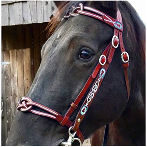 English Horse Trensenzaum – Verstellbare Reithalfter aus Leder – für Pferde, Pferdezubehör und Pferderennausrüstung (rot) von FHXYZ