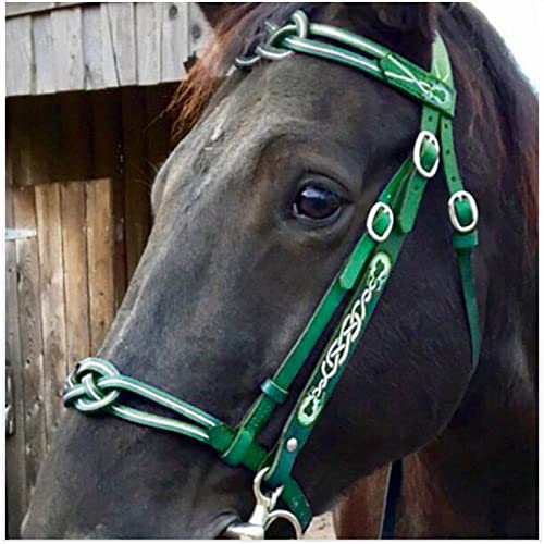 FHXYZ Pferde-Zaumzeug in voller Größe – Leder-Reitzügel – mit weich gepolsterter und einzelner Wangenschnalle für Pferderennausrüstung – verstellbare Größe (grün) von FHXYZ