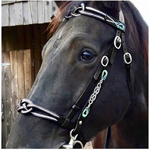FHXYZ Pferde-Zaumzeug in voller Größe – Leder-Reitzügel – mit weich gepolsterter und einzelner Wangenschnalle für Pferdezubehör – verstellbare Größe (schwarz) von FHXYZ