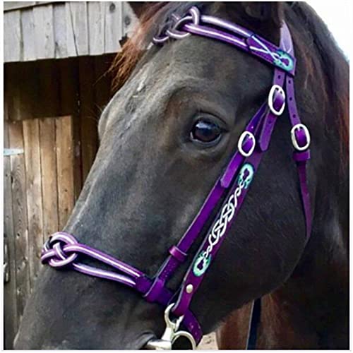 Leder Pferdezaumzeug, weich und bequem, verstellbare Größe Reitzügel mit Metallwangenschnalle für Pferderennsport-Trainingsgeräte (lila) von FHXYZ