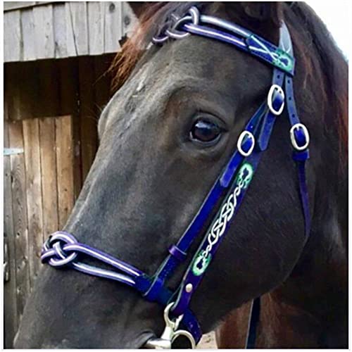 Pferde-Zaumzeug in voller Größe – Leder-Reitzügel – mit weich gepolsterter und einzelner Wangenschnalle für Pferderennausrüstung – verstellbare Größe (blau) von FHXYZ