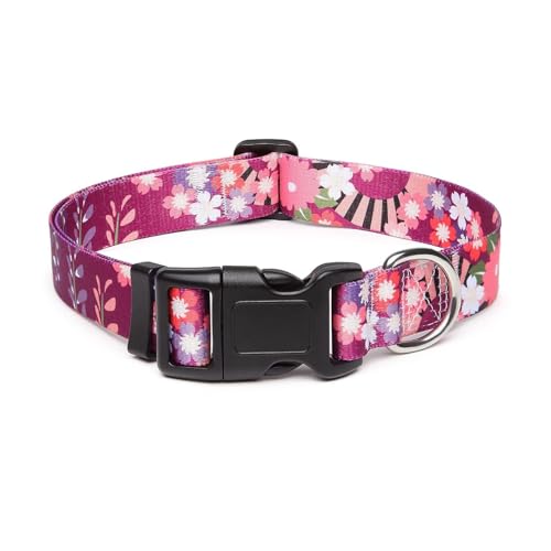 1 Stücke Verstellbares Hundehalsband Nylon, Hundehalsband Kleine Hunde, Haustierhalsband Kleine Mittelgroße Hunde, Niedliches Hundehalsband, für Kleine Mittlere Hunde Welpen (M Lila) von FIBOUND