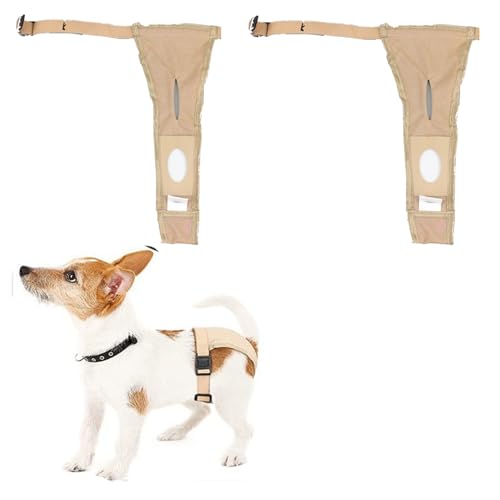 2 Stück Physiologische Hose für Hunde, Verstellbare Schutzhose, Wiederverwendbare Hundewindeln, Haustier Hündinnen Schutzhose, Hündinnen Waschbare Schutzhöschen, mit 6 Hygienepad (L, Khaki) von FIBOUND