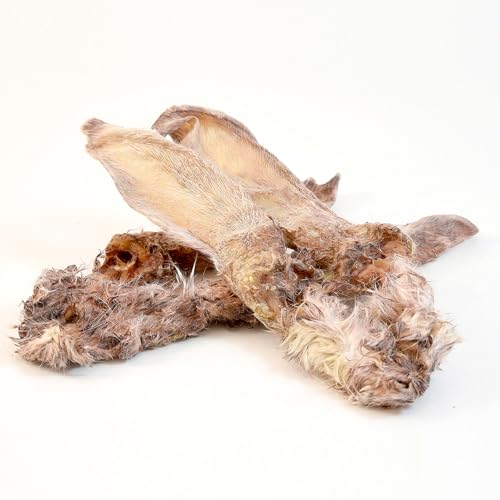 Fidelis - Kaninchenohren mit Fell getrocknet für Hunde 1000gr - Natursnack Leckerlis aus 100% natürlichen Rohstoffen - Hunde Leckerli für Pflege & Stärkung des Gebisses - Ohne Konservierungsstoffe Fidelis - Kaninchenohren mit Fell getrocknet für Hunde 1000gr - Natursnack Leckerlis aus 100% natürlichen Rohstoffen - Hunde Leckerli für Pflege & Stärkung des Gebisses - Ohne Konservierungsstoffe von FIDELIS