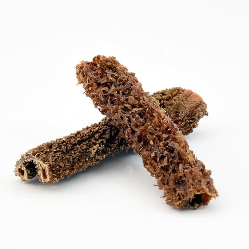 Fidelis - Rinderpansen getrocknet für Hunde 1000gr - Natursnack Leckerlis aus 100% natürlichen Rohstoffen - Hunde Leckerli für zwischendurch pflegt & stärkt das Gebiss - Ohne Konservierungsstoffe Fidelis - Rinderpansen getrocknet für Hunde 1000gr - Natursnack Leckerlis aus 100% natürlichen Rohstoffen - Hunde Leckerli für zwischendurch pflegt & stärkt das Gebiss - Ohne Konservierungsstoffe von FIDELIS