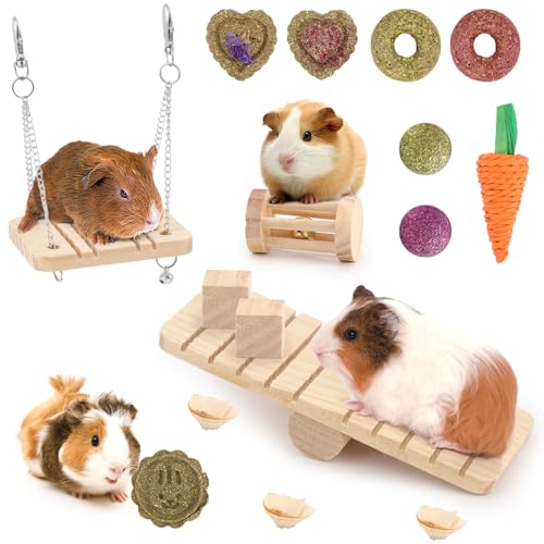 FIDWALL 15-teiliges Hamster Spielzeug & Knabberset – Natürliches Holz & Heu-Kauspielzeug für Hamster, Meerschweinchen, Kaninchen – Zubehör zum Spielen, Kauen, Zahnpflege & gegen Langeweile von FIDWALL