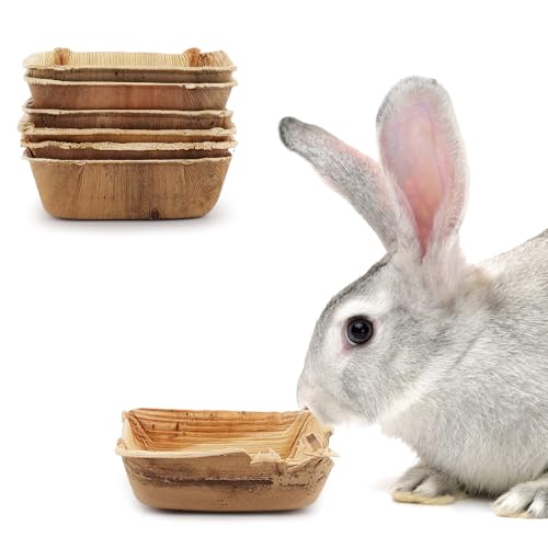 FIDWALL 6-Piece Palm Leaf Bowls für Hasen,3.5" und 6" Größen,Natur Kaninchen Spielzeug,Kaninchen Zubehör,Hasen Spielzeug (3,5 Zoll*6) von FIDWALL