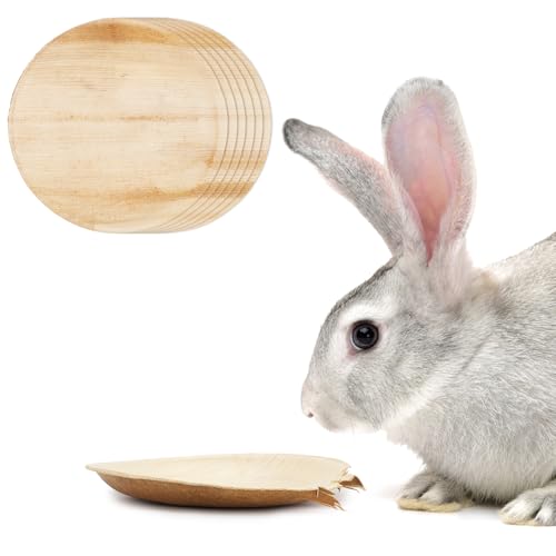 FIDWALL 6-Piece Palm Leaf Bowls für Hasen,3.5" und 6" Größen,Natur Kaninchen Spielzeug,Kaninchen Zubehör,Hasen Spielzeug (6 Zoll*6) von FIDWALL