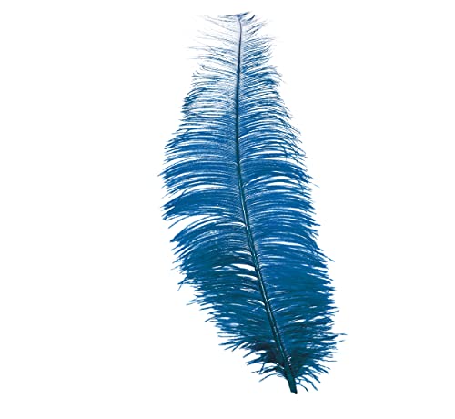 FIESTAS GUIRCA Ostrich Feather Costume Accessory, Ostrich, Kostüm, Feder, bunt, Polyester, 30 cm von FIESTAS GUIRCA