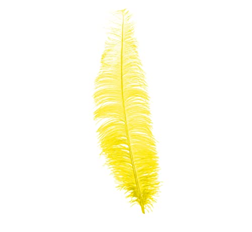 FIESTAS GUIRCA Wahl der Farbe der Straußenfeder, groß, 35-40 cm FIESTAS GUIRCA Wahl der Farbe der Straußenfeder, groß, 35-40 cm von FIESTAS GUIRCA
