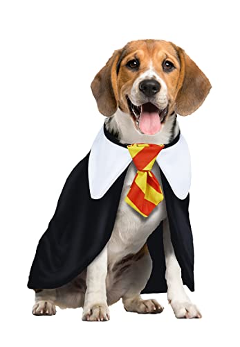 FIESTAS GUIRCA Zauber Schüler Hunde Kostüm - Magier Hund – Halloween Hundekostüm - S von FIESTAS GUIRCA