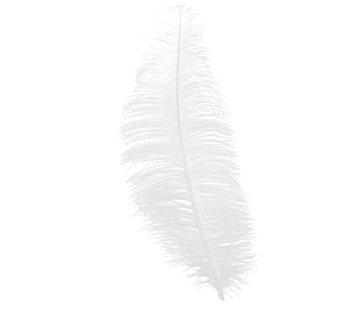 Lose Straußenfeder, 30 cm, ohne Band. von FIESTAS GUIRCA