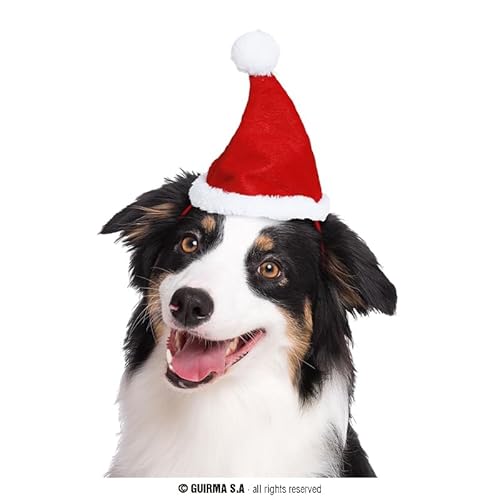 Weihnachtsmütze für Tiere von FIESTAS GUIRCA