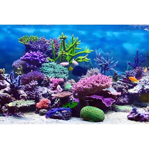 FILFEEL Aquarium-Hintergrund, Dekoration für Aquarien, selbstklebendes Poster, Unterwasserkoralle, Hintergrund, Dekoration, Papier (76 * 30cm) von FILFEEL