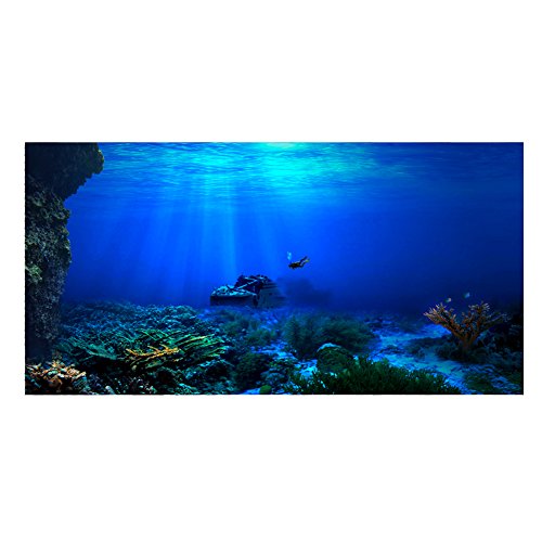 FILFEEL Aquarium Hintergrund Aquarium Dekorationen Bilder 3D Effekt PVC Adhesive Poster Unterwasserwelt Hintergrund Dekoration Papier Cling Decals Aufkleber(122x50cm) von FILFEEL