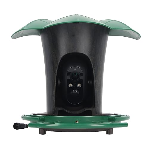 FILFEEL Smart Bird Feeder Camera 4G 2MP HD AI Identifizieren Sie Solarantriebs -Vogelbeobachtungskamera -Szene von FILFEEL