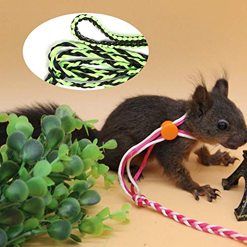 Nylon-Leinengeschirr für Kleine Haustiere, Eichhörnchen, Hamster, Meerschweinchen, für Outdoor-Gehtraining, Verstellbares Halsband für Lustige Aktivitäten, Geeignet für Kleine Nylon-Leinengeschirr für Kleine Haustiere, Eichhörnchen, Hamster, Meerschweinchen, für Outdoor-Gehtraining, Verstellbares Halsband für Lustige Aktivitäten, Geeignet für Kleine von FILFEEL