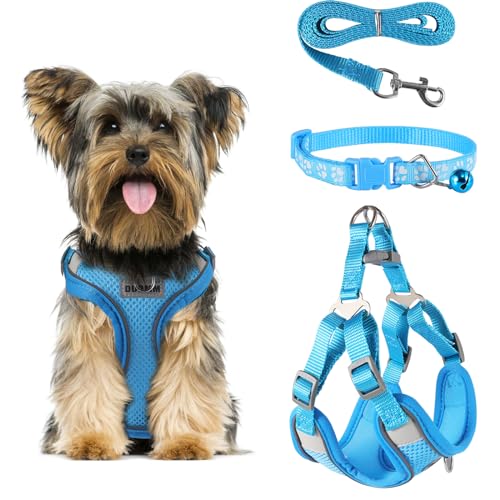 FINEASY Hundegeschirr mit Leine, Reflektierend, Hundegeschirr Kleine Hunde, Sicherheitsgeschirr Hund Ausbruchsicher, Brustgeschirr Hund, Geschirr für Haustiere, Katzen, Klein, Welpen (Blau, M) von FINEASY