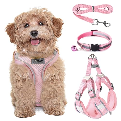 FINEASY Hundegeschirr mit Leine, Reflektierend, Hundegeschirr Kleine Hunde, Sicherheitsgeschirr Hund Ausbruchsicher, Brustgeschirr Hund, Geschirr für Haustiere, Katzen, Klein, Welpen (Rosa, M) von FINEASY