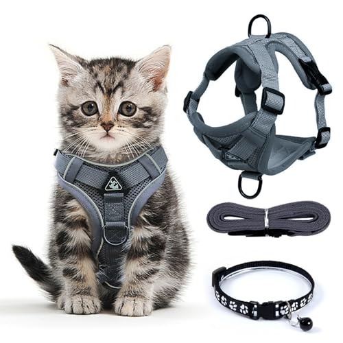 FINEASY Katzengeschirr mit Leine Ausbruchsicher und Katzenhalsband, Verstellbares Katzenleine mit Geschirr, Geschirrset Cat Harness Weich Softgeschirr für Katze Kitten Hunde Brustgeschirr (Grau, S) von FINEASY