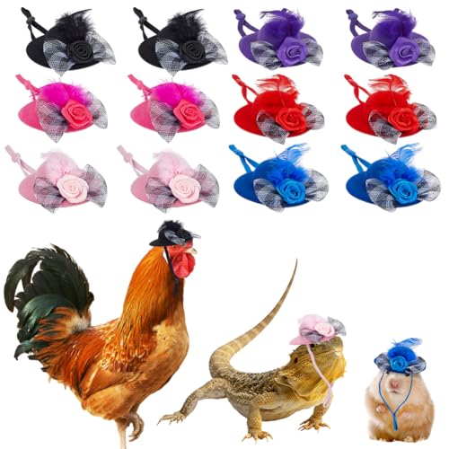 FINGERINSPIRE 12 Stück 6 Farben Haustier Hühnerhüte Federhut Mit Verstellbarem Kinnriemen Polyester Lustige Dekoration Winzigen Hut Kleine Tier Hüte Für Huhn Papagei Geflügel Zubehör von FINGERINSPIRE