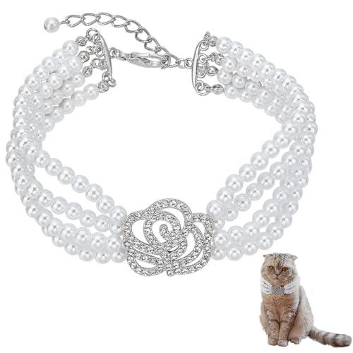 FINGERINSPIRE Haustierhalsband Halskette Mit 4 Perlenreihe Verstellbare Perlen Hunde Und Katzenhalsband Mit Strass Rosenblüte Haustier Hochzeitshalsband Für Kleine Hunde Katzen Kätzchen Welpen Weiß M FINGERINSPIRE Haustierhalsband Halskette Mit 4 Perlenreihe Verstellbare Perlen Hunde Und Katzenhalsband Mit Strass Rosenblüte Haustier Hochzeitshalsband Für Kleine Hunde Katzen Kätzchen Welpen Weiß M von FINGERINSPIRE