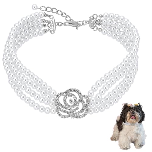 FINGERINSPIRE Haustierhalsband Halskette Mit 4 Perlenreihe Verstellbare Perlen Hunde Und Katzenhalsband Mit Strass Rosenblüte Haustier Hochzeitshalsband Für Kleine Hunde Katzen Kätzchen Welpen Weiß L FINGERINSPIRE Haustierhalsband Halskette Mit 4 Perlenreihe Verstellbare Perlen Hunde Und Katzenhalsband Mit Strass Rosenblüte Haustier Hochzeitshalsband Für Kleine Hunde Katzen Kätzchen Welpen Weiß L von FINGERINSPIRE