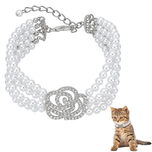 FINGERINSPIRE Haustierhalsband Halskette Mit 4 Perlenreihe Verstellbare Perlen Hunde Und Katzenhalsband Mit Strass Rosenblüte Haustier Hochzeitshalsband Für Kleine Hunde Katzen Kätzchen Welpen Weiß S FINGERINSPIRE Haustierhalsband Halskette Mit 4 Perlenreihe Verstellbare Perlen Hunde Und Katzenhalsband Mit Strass Rosenblüte Haustier Hochzeitshalsband Für Kleine Hunde Katzen Kätzchen Welpen Weiß S von FINGERINSPIRE