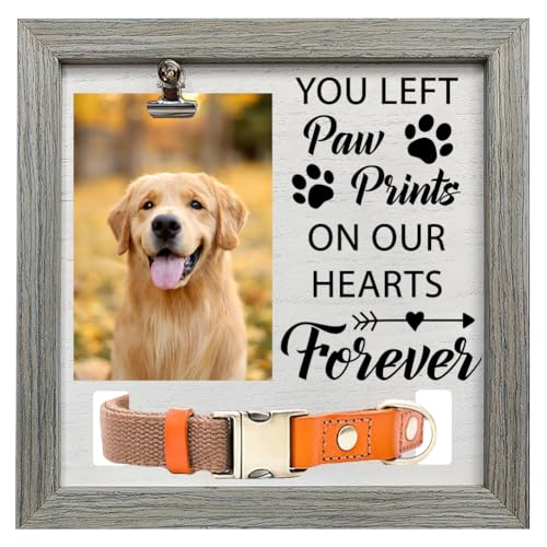 FINGERINSPIRE Pet Memorial Bilderrahmen 22,9 x 22,9 cm You Left Paw Prints on Our Hearts Forever Haustier-Bilderrahmen mit Fotoclip und Halsbandhalter, Holzgedenk-Geschenkrahmen für Hunde, Katzen, von FINGERINSPIRE