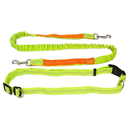 FIRECLUB Pet Dog Running Reflective Leash Rope Hand Freely Elasticity Adjustable Waist Rope Dog Walking Leash (Green) von FIRECLUB