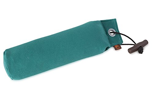 Firedog Standard Dummy 500g grün Firedog Standard Dummy 500g grün von FIREDOG