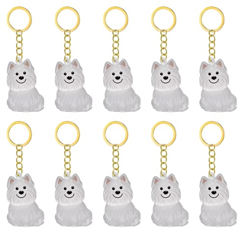1. 2/3/4/5/10pcs Klarer Pet Memorial Schlüsselbund Mit Lagerfach Für Katzen Hunde Liebhaber Sympathie Anhänger Süßes Hundehaar Andenken Box von FIRSTXIU