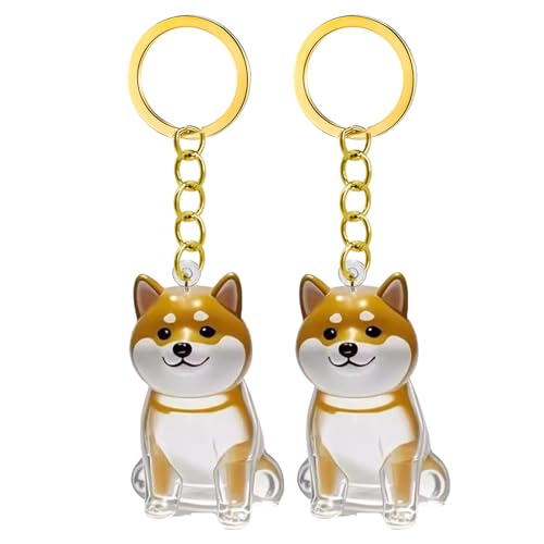 1. 2/3/4/5/10pcs Klarer Pet Memorial Schlüsselbund Mit Lagerfach Für Katzen Hunde Liebhaber Sympathie Anhänger Süßes Hundehaar Andenken Box 1. 2/3/4/5/10pcs Klarer Pet Memorial Schlüsselbund Mit Lagerfach Für Katzen Hunde Liebhaber Sympathie Anhänger Süßes Hundehaar Andenken Box von FIRSTXIU