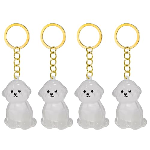 1. 2/3/4/5/10pcs Klarer Pet Memorial Schlüsselbund Mit Lagerfach Für Katzen Hunde Liebhaber Sympathie Anhänger Süßes Hundehaar Andenken Box 1. 2/3/4/5/10pcs Klarer Pet Memorial Schlüsselbund Mit Lagerfach Für Katzen Hunde Liebhaber Sympathie Anhänger Süßes Hundehaar Andenken Box von FIRSTXIU