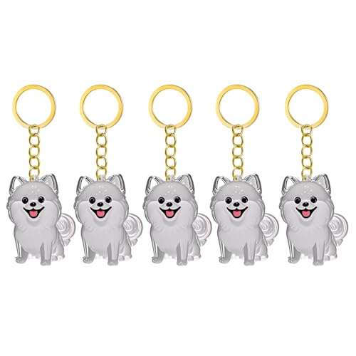 1. 2/3/4/5/10pcs Klarer Pet Memorial Schlüsselbund Mit Lagerfach Für Katzen Hunde Liebhaber Sympathie Anhänger Süßes Hundehaar Andenken Box 1. 2/3/4/5/10pcs Klarer Pet Memorial Schlüsselbund Mit Lagerfach Für Katzen Hunde Liebhaber Sympathie Anhänger Süßes Hundehaar Andenken Box von FIRSTXIU