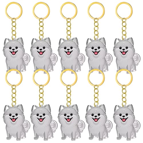 1. 2/3/4/5/10pcs Klarer Pet Memorial Schlüsselbund Mit Lagerfach Für Katzen Hunde Liebhaber Sympathie Anhänger Süßes Hundehaar Andenken Box 1. 2/3/4/5/10pcs Klarer Pet Memorial Schlüsselbund Mit Lagerfach Für Katzen Hunde Liebhaber Sympathie Anhänger Süßes Hundehaar Andenken Box von FIRSTXIU