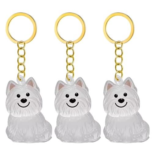 1. 2/3/4/5/10pcs Klarer Pet Memorial Schlüsselbund Mit Lagerfach Für Katzen Hunde Liebhaber Sympathie Anhänger Süßes Hundehaar Andenken Box 1. 2/3/4/5/10pcs Klarer Pet Memorial Schlüsselbund Mit Lagerfach Für Katzen Hunde Liebhaber Sympathie Anhänger Süßes Hundehaar Andenken Box von FIRSTXIU