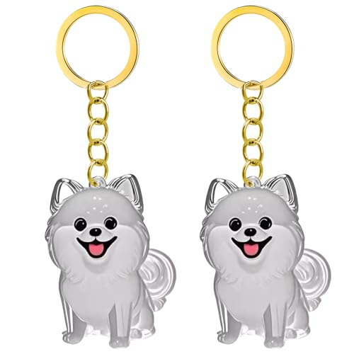 1. 2/3/4/5/10pcs Klarer Pet Memorial Schlüsselbund Mit Lagerfach Für Katzen Hunde Liebhaber Sympathie Anhänger Süßes Hundehaar Andenken Box 1. 2/3/4/5/10pcs Klarer Pet Memorial Schlüsselbund Mit Lagerfach Für Katzen Hunde Liebhaber Sympathie Anhänger Süßes Hundehaar Andenken Box von FIRSTXIU