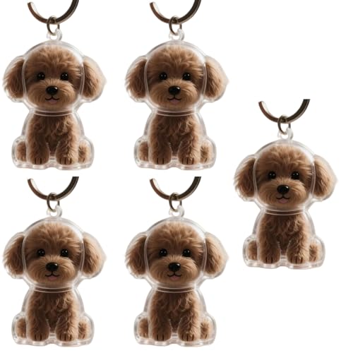 1. 2/3/4/5/10pcs Klarer Pet Memorial Schlüsselbund Mit Lagerfach Für Katzen Hunde Liebhaber Sympathie Anhänger Süßes Hundehaar Andenken Box 1. 2/3/4/5/10pcs Klarer Pet Memorial Schlüsselbund Mit Lagerfach Für Katzen Hunde Liebhaber Sympathie Anhänger Süßes Hundehaar Andenken Box von FIRSTXIU